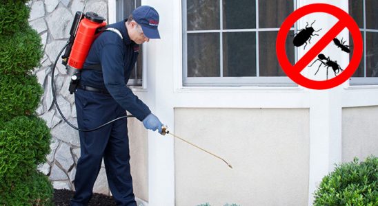 Seyrekköy Fare İlaçlama böcek ilaçlama ve haşere kontrolü — ilaclama-tr.com
